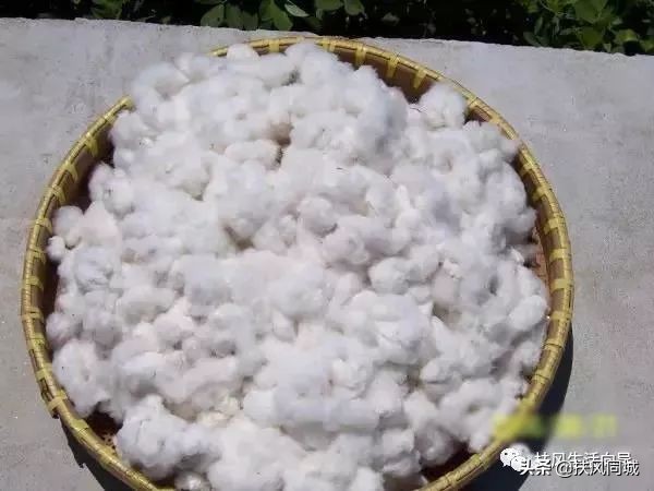 宝鸡扶风婚嫁彩礼多少,扶风婚礼习俗