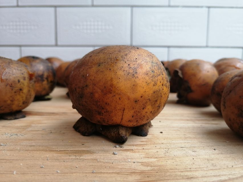 儿时味道脆柿子,山西小油柿子