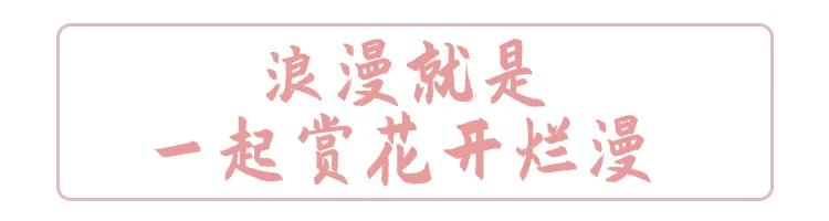 合肥最美的春天景点,合肥春天有哪些好玩的景点