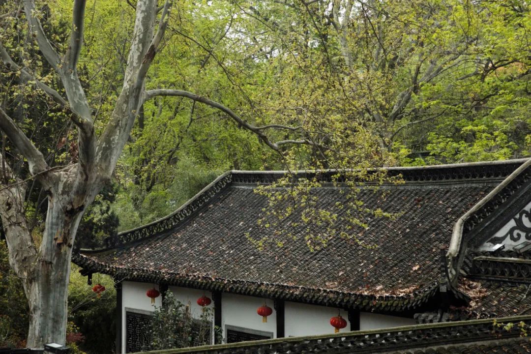 扬州究竟值不值得吃?