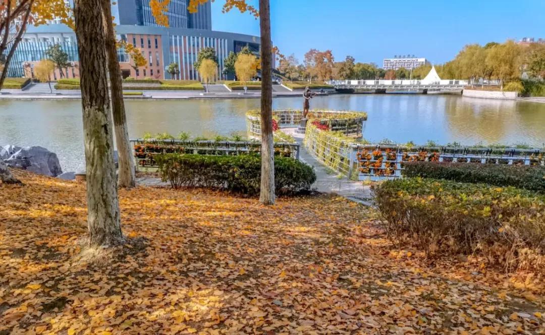 江苏省33所高校排名,江苏省300分大专院校