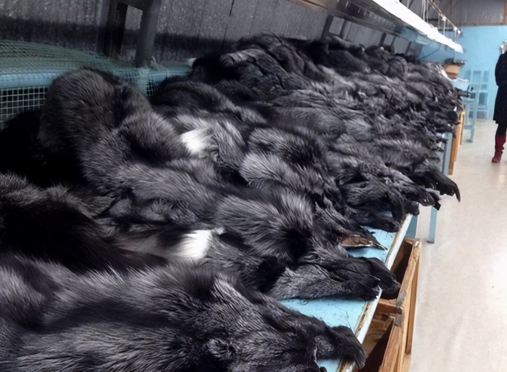 曾被当作“炫富神器”，如今人们觉得可有可无，皮草究竟怎么了？