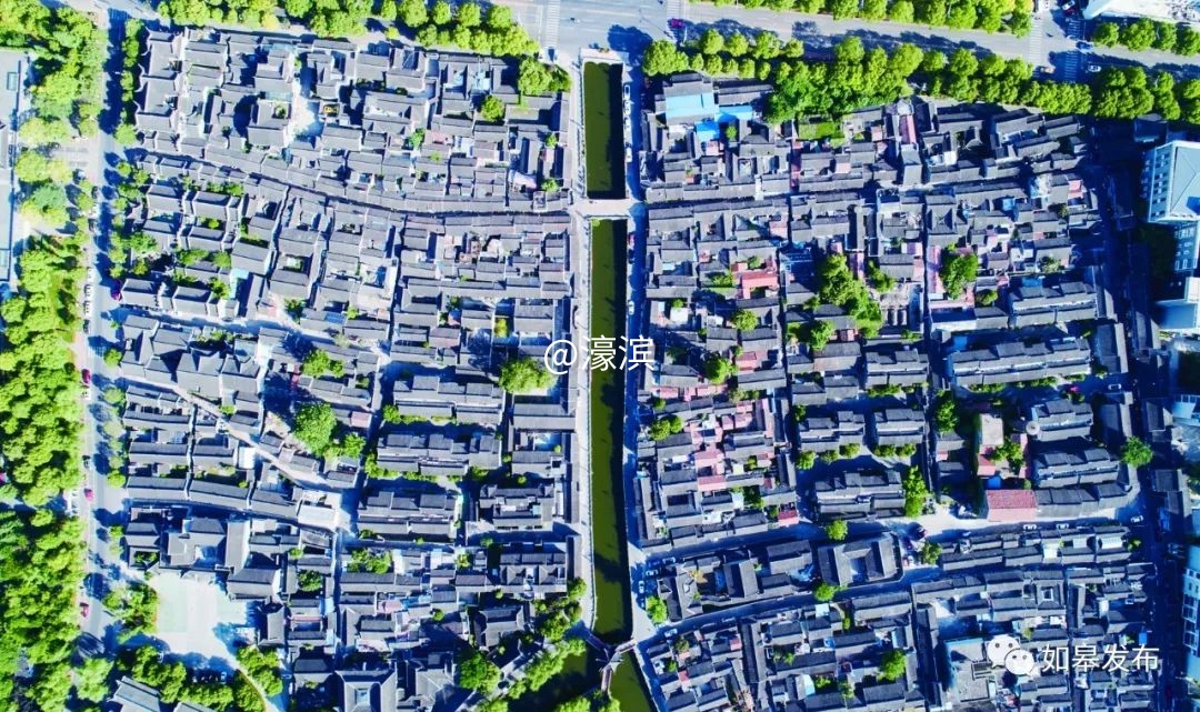 什么是如皋蝶尾,如皋的特点