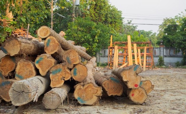 柚木沙发柚木家具价格,柚木家具的优缺点