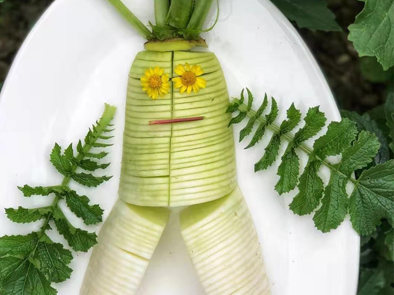 萝卜怎样栽种取种子,树萝卜生桩怎么栽种