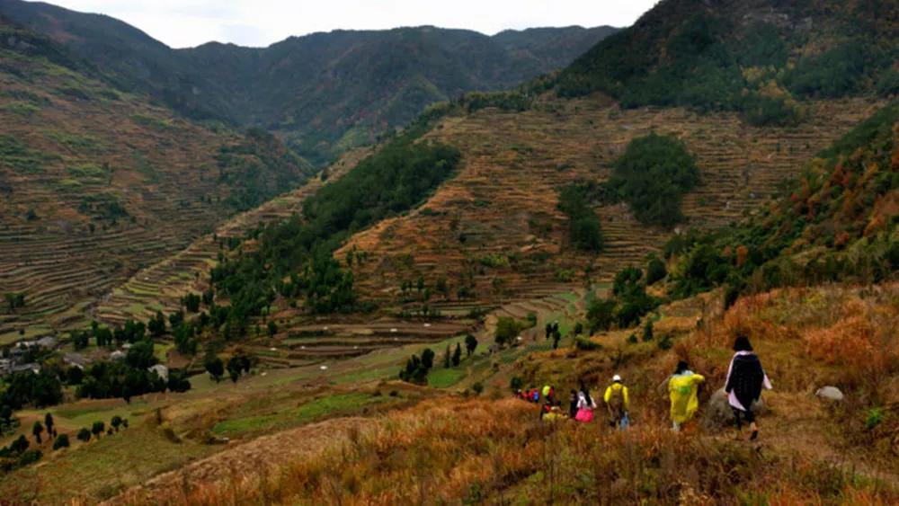 银杏古道自驾游攻略,江浙沪绝美古道苏州