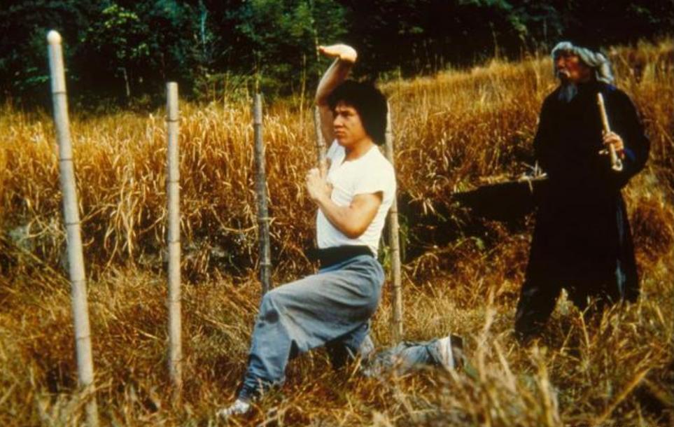 成龙退出林凤娇全资持股公司,成龙退出林凤娇全资持股公司了吗