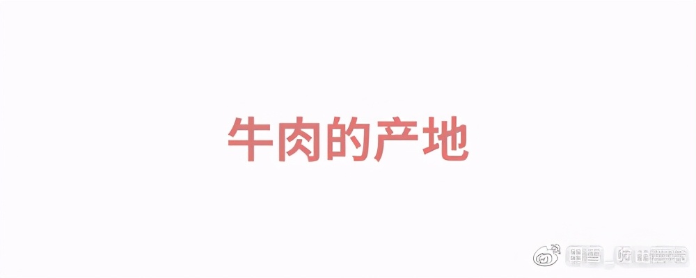 牛肉先锋|挑选好牛肉的锦囊妙计,“庖丁解牛”了解一下