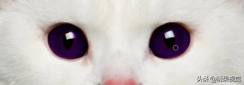 ps怎么把两只眼睛p成一样颜色,ps改图及抠图换背景颜色教程