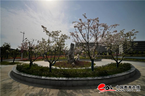 南京师范大学中北学院体育舞蹈课,南京师范大学中北学院音乐表演