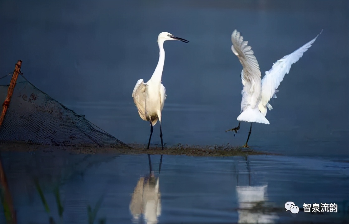 郭进拴神游索溪峪,郭进拴全部视频