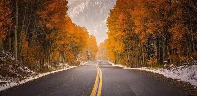 想创业低成本创业项目有哪些,现在最好的创业项目个人开店创业