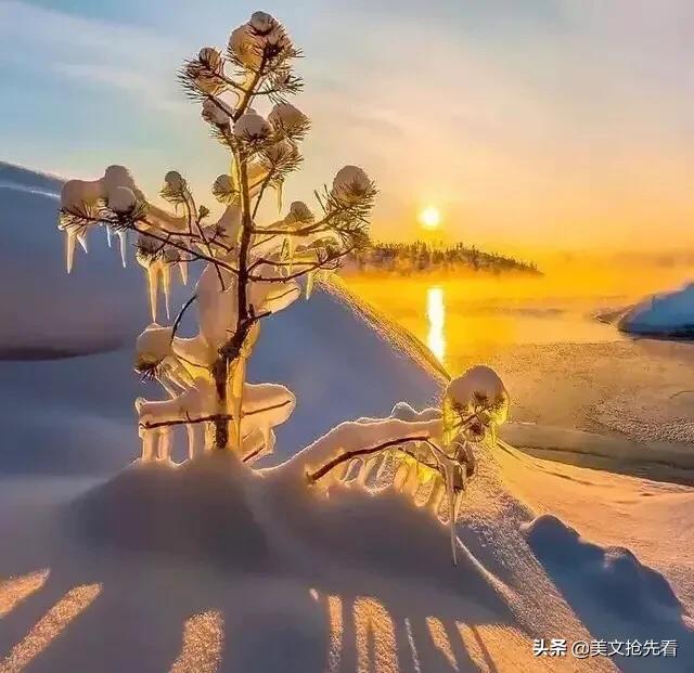 最寒冷的冬天过去了吗,寒冷的冬天过去了作文