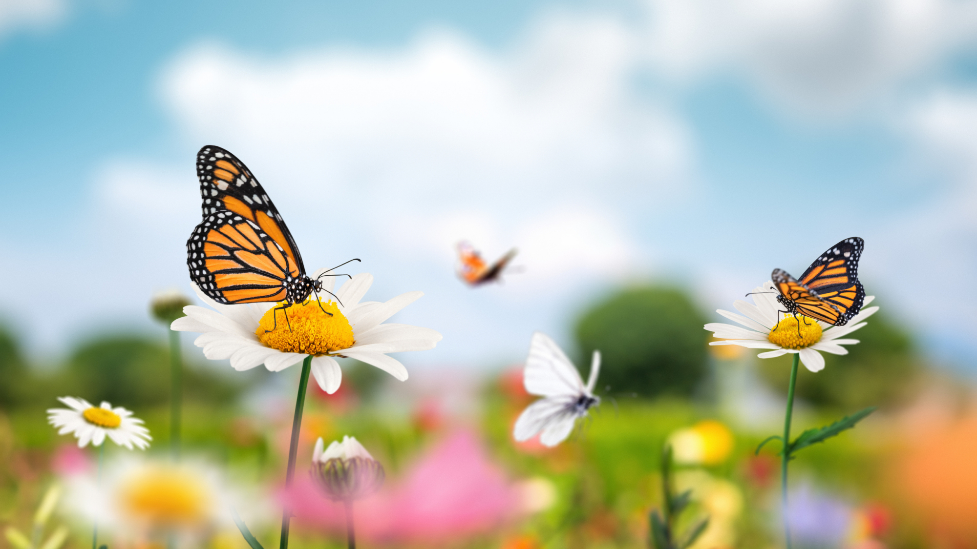 心态崩了该怎么调整,贷款心态崩了怎么调整心态