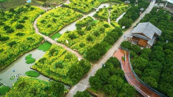 浙江黄岩贡桔园,贡橘园景点