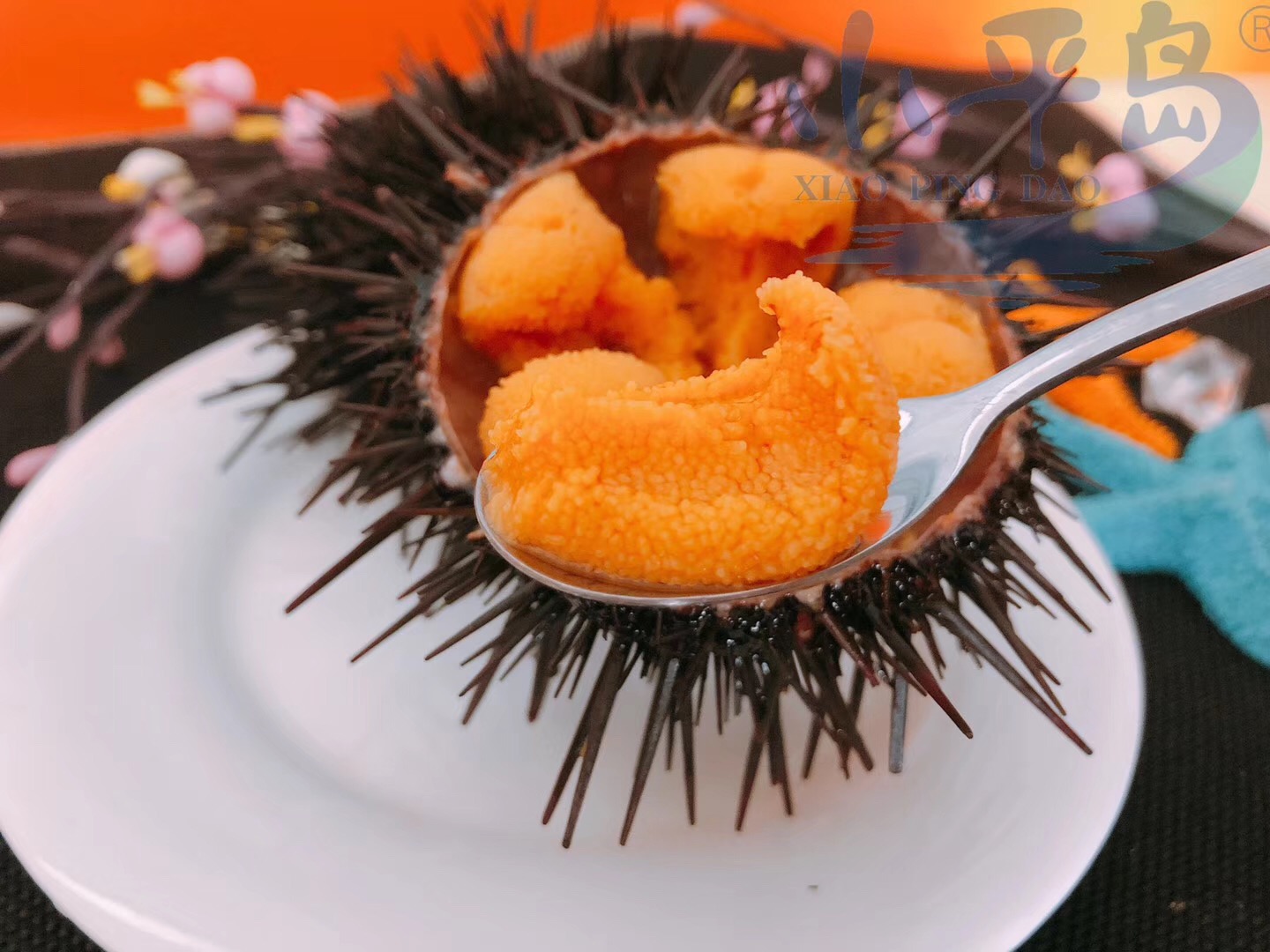 閲嶅ぇ鎻,鐧借壊娴疯儐鑲夎兘鍚冨悧