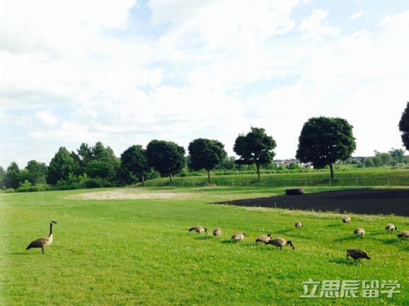 加拿大学生兼职推荐,加拿大留学生兼职要求