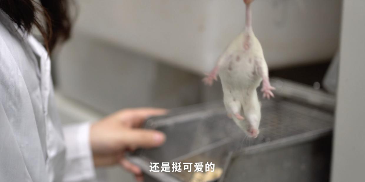 家中厨房蟑螂多怎么消除,家中有蟑螂怎么一网打尽