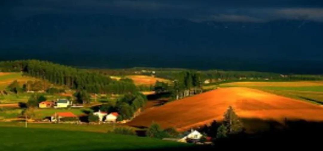 五下语文第19课牧场之国预习笔记,部编版五年级语文下册19牧场之国