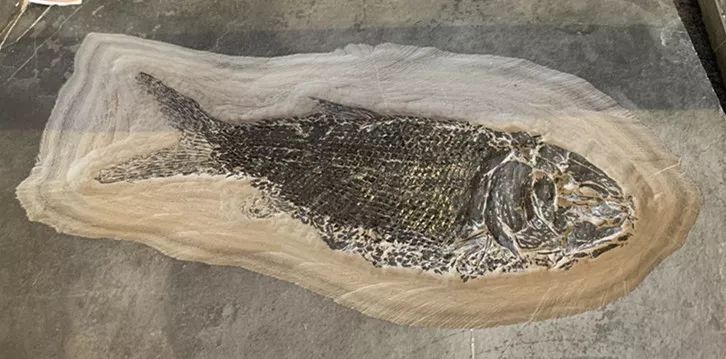 北京运河苑温泉水世界,好似闹市中的“瑶池仙境”,乐在水世界