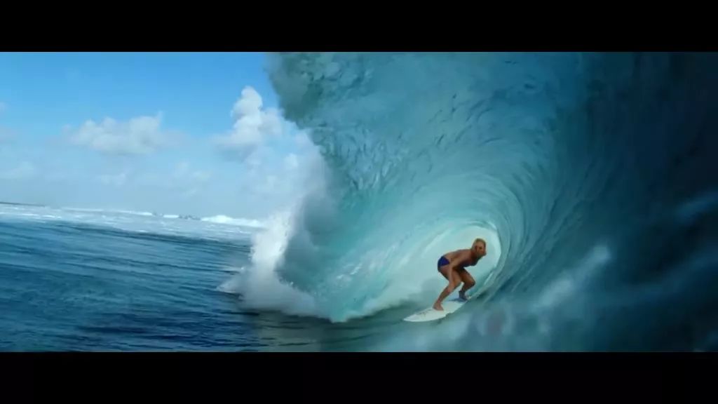 当遇见鲨鱼该怎么逃生,当在海里遇到鲨鱼怎么办