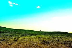 贵州六盘水的介绍,贵州六盘水市属于哪里