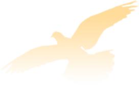 「邯郸市一中恩师奖」甘为人梯育桃李不忘初心铸师魂——记邯郸一中第五届“恩师奖”获奖者佘军仁老师