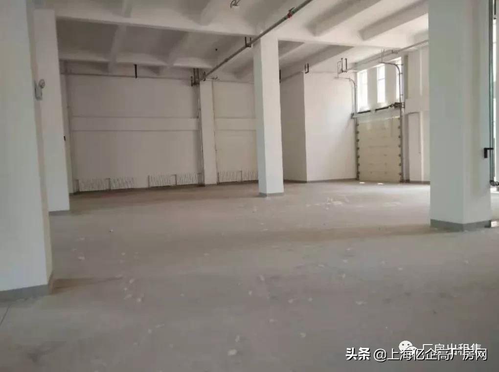 青浦区华新镇厂房出租最新消息,青浦华新镇华腾路厂房出租