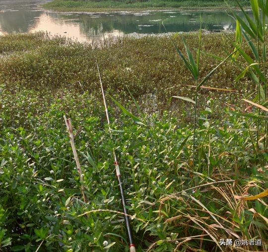 凌晨三点后钓鱼注意事项,早上几点之前钓鱼比较合适