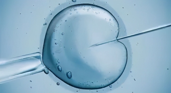 胚胎师知道胚胎性格吗,胚胎师都挑选什么精子