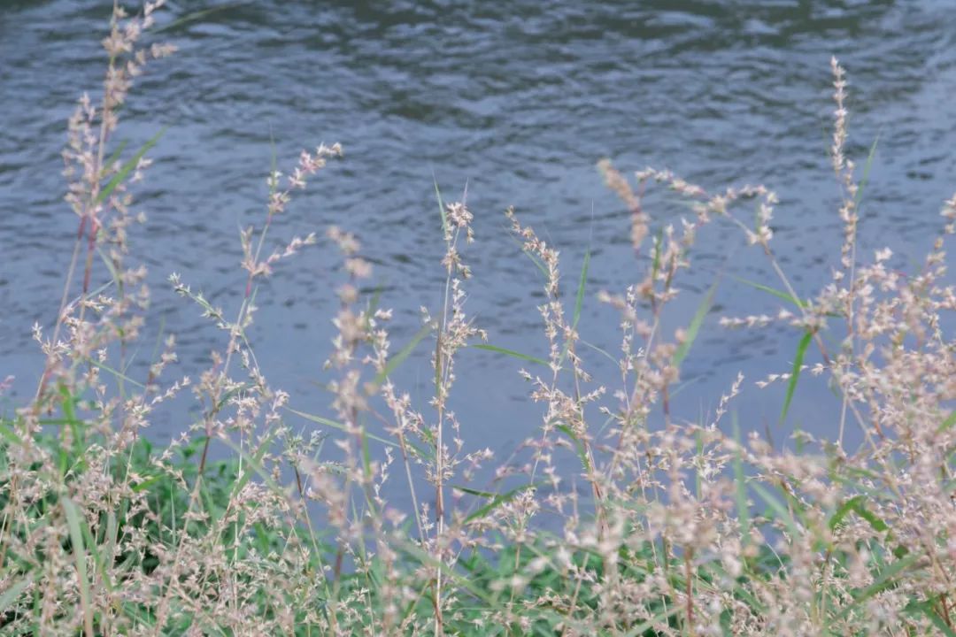 深圳好玩景点地铁路线,深圳好玩免费景点地铁直达的