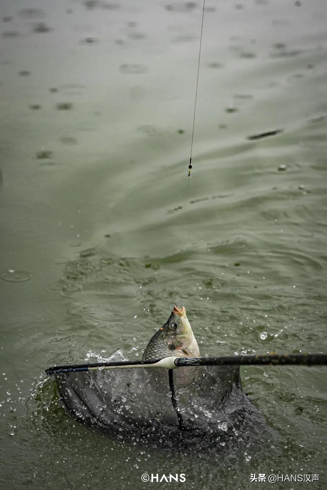 天元邓刚在湖北枣阳钓鱼的视频,天元邓刚钓鱼最新视频现场