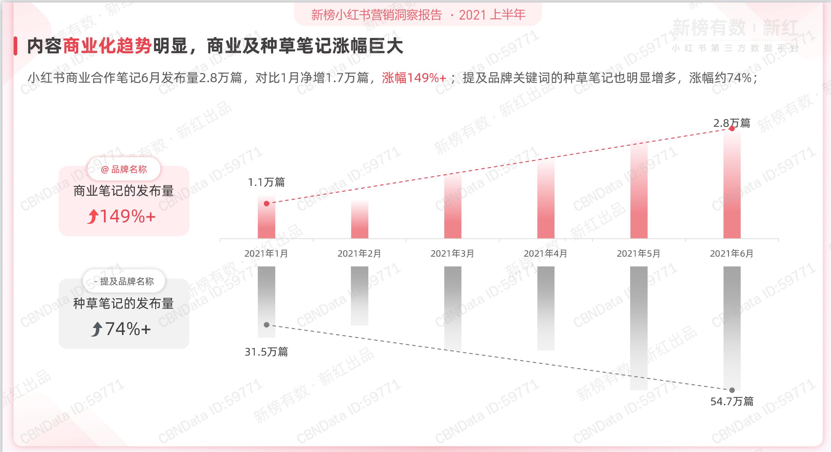 小红书营销策略ppt,小红书种草营销策划ppt