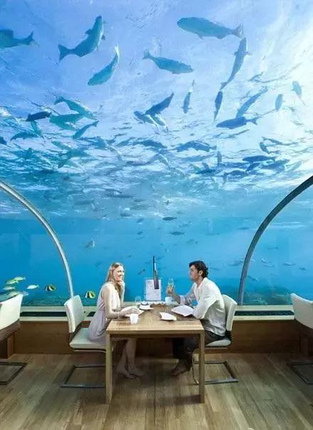 海底餐厅推荐大全,高级海底餐厅