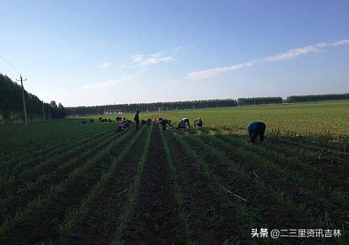 吉林市抗击疫情报道,抗击肺炎吉林