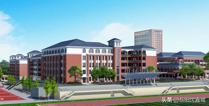 岳阳民办高中排名前十的学校,岳阳民办高中录取分数线