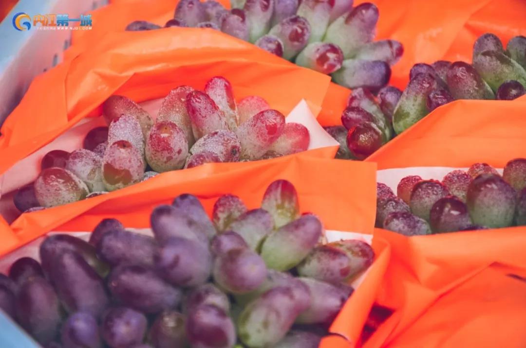 四川内江有哪些水果批发市场,内江最近的水果市场