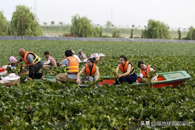 美丽乡村的盈利项目,美丽乡村项目的成功案例