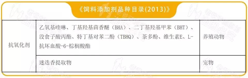 男人女人小孩咱都说过了,今天来说说这个重要家庭成员