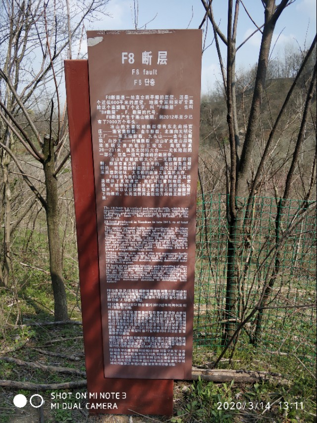 冶山铁矿拆不拆,冶山铁矿内部消息