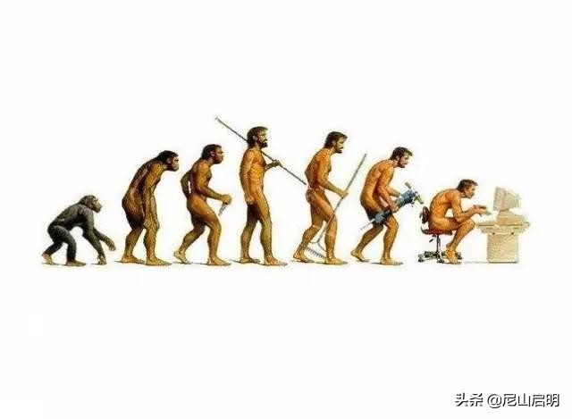 老八的历史地位,老八真实姓什么