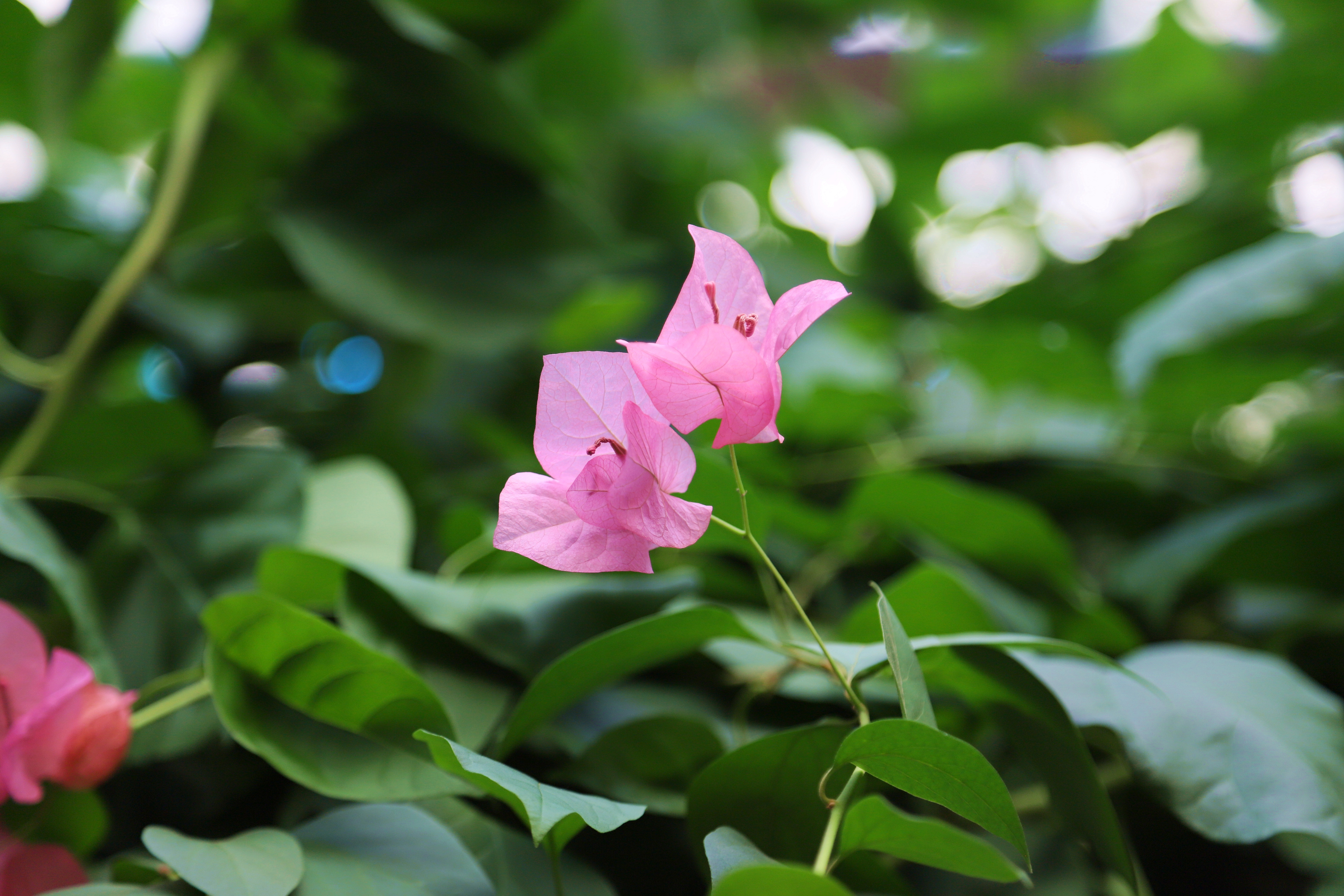 在心灵的栖息地遇见第五季