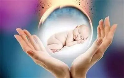 做试管婴儿的全场视频,揭秘试管婴儿的全过程