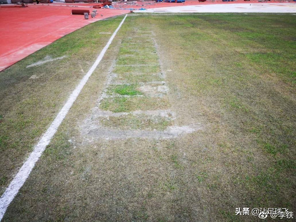 卓尔草皮喷绿漆,卓尔主场草皮事件结果