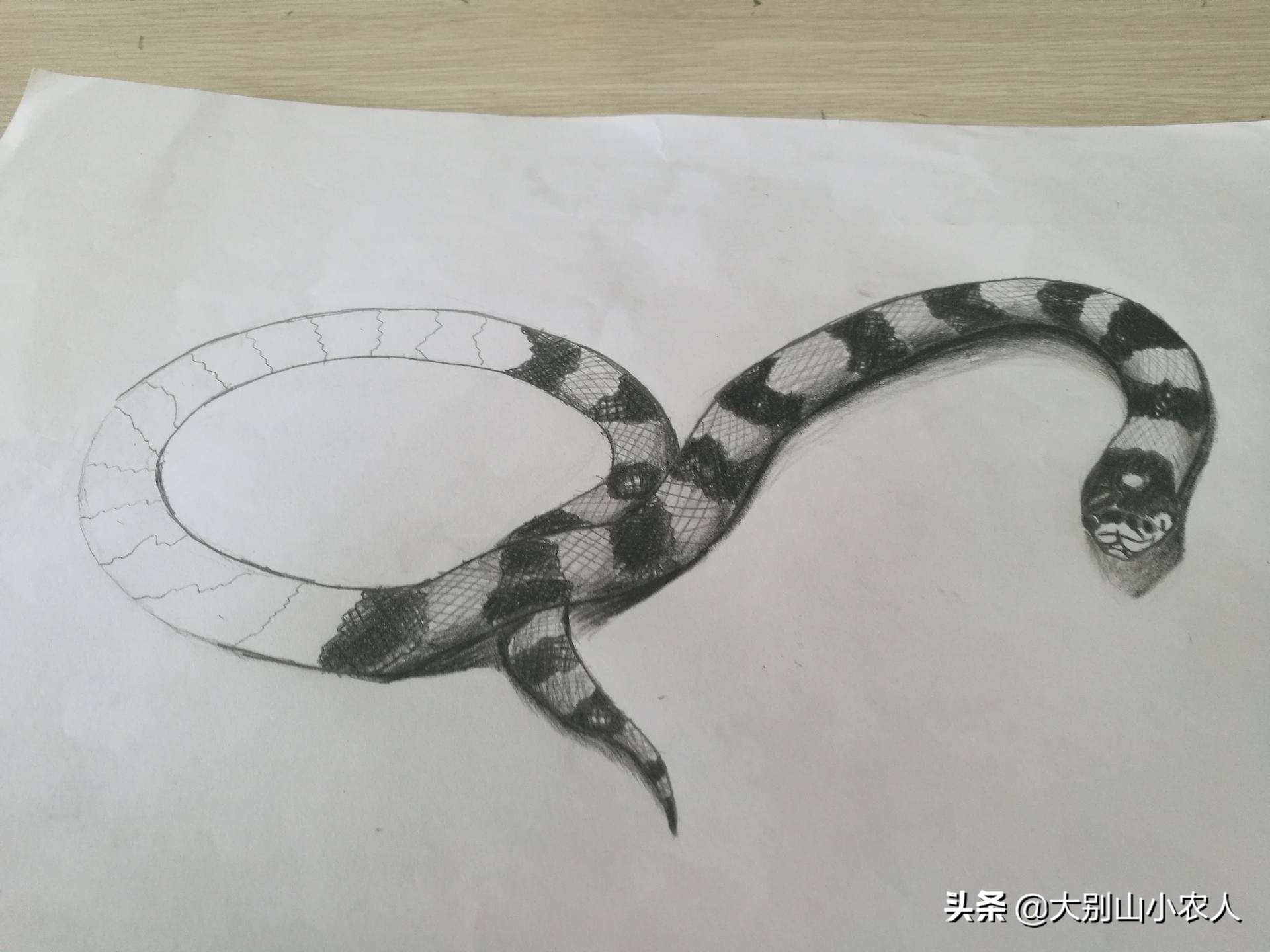 真•全村吃饭蛇:性格温顺但毒素却能深入骨髓,就是被咬后要睡觉