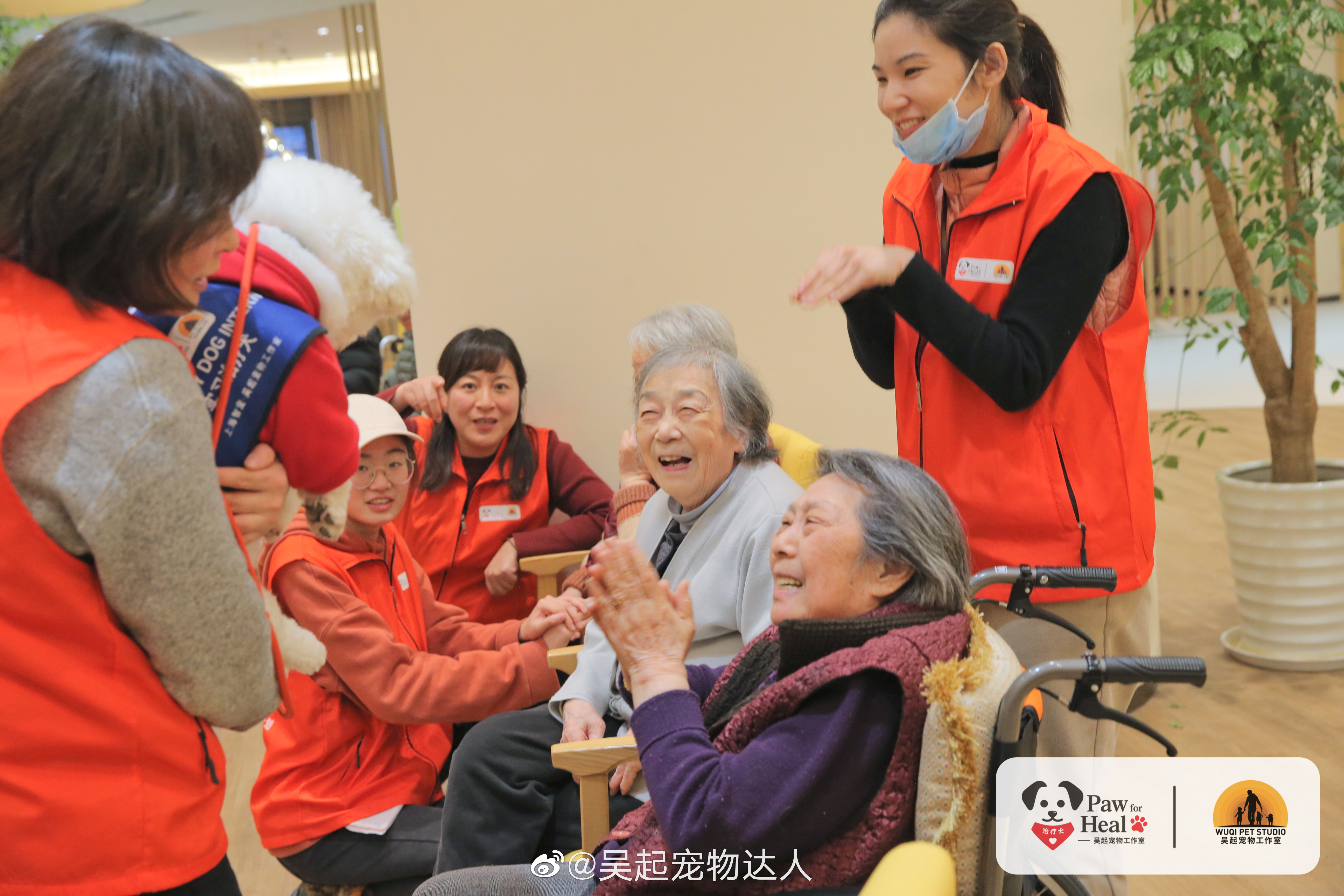 治疗犬到底是怎样的群体？我们的狗狗都能成为治疗犬吗?