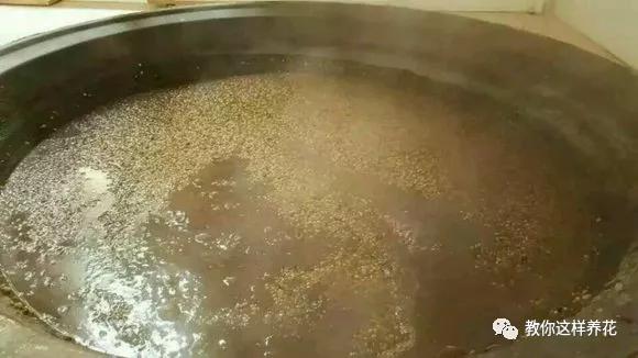 给花浇白醋会怎么样,给花浇营养液后叶子黄了