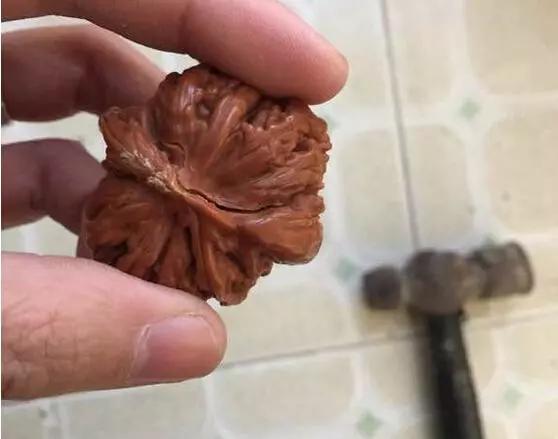 核桃裂尖怎么补救,核桃裂了还有价值吗