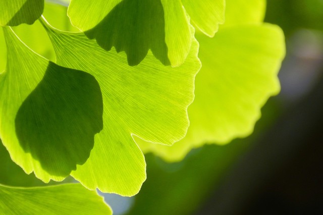 同学群让人反感,同学群有的不受待见