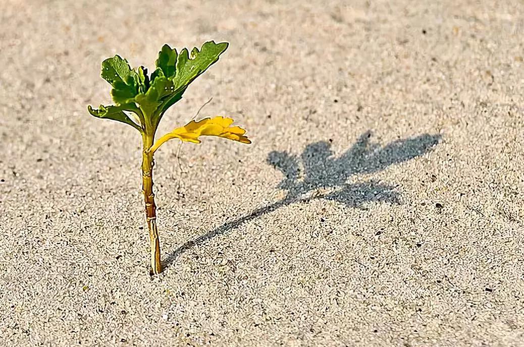 温州人物|白内障名医蔡迎晖:行医数十载,忧病人所忧,痛病人所痛